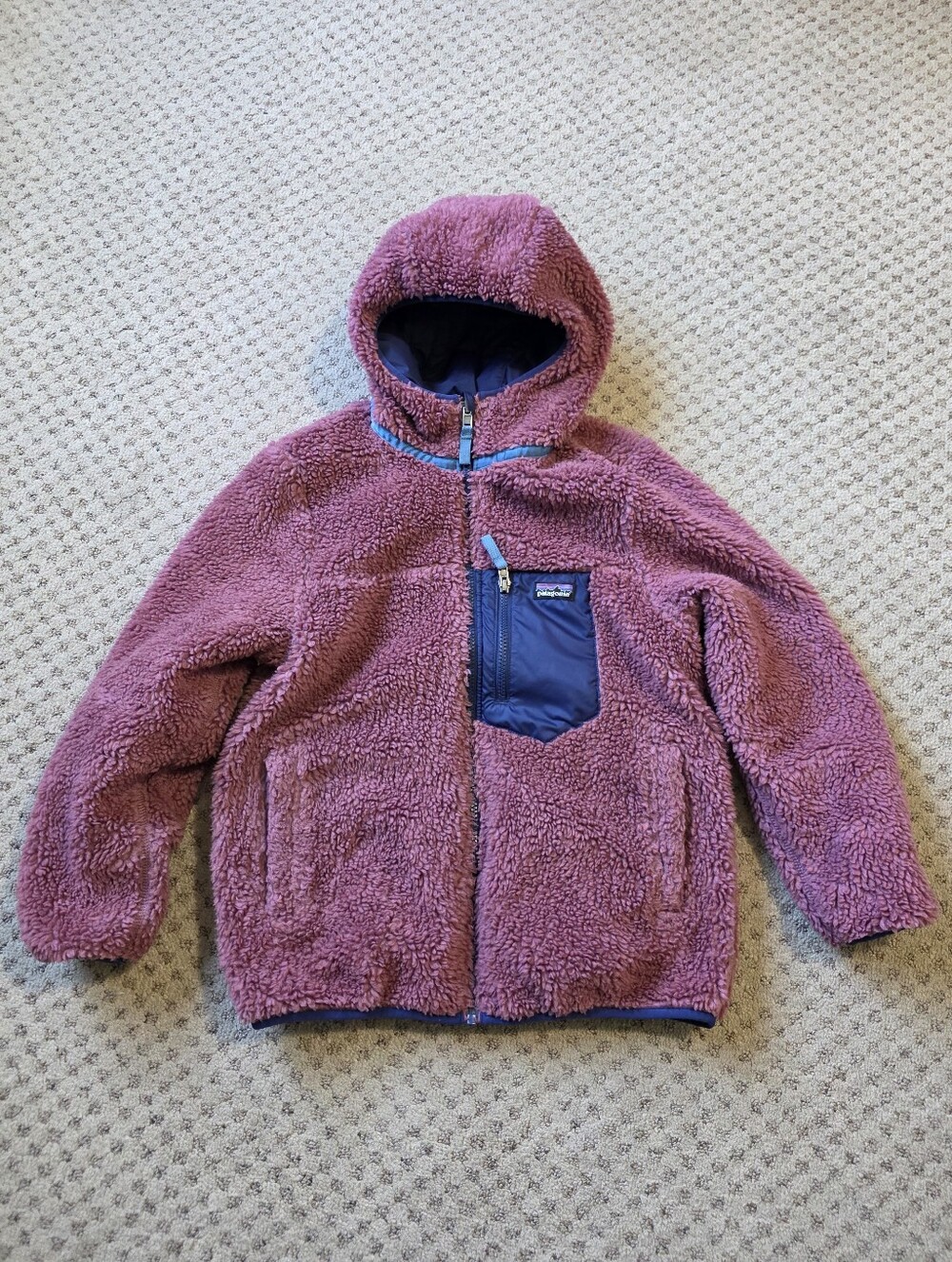 Patagonia Reversible Ready Freddy Hoody